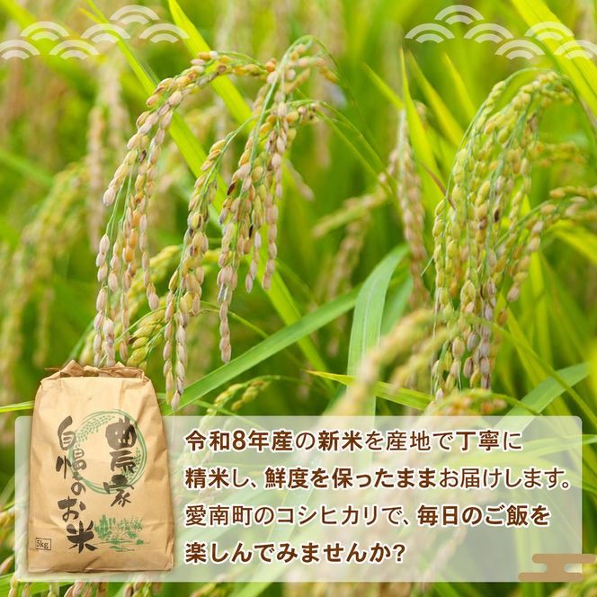 新米 令和8年産 コシヒカリ 10kg ( 10kg×1袋 ) 米 お米 白米 精米 こしひかり 人気 産地直送 国産 農家直送 期間限定 数量限定 特産品 2026年産 大粒 もっちり 粘り 甘み おいしい おにぎり 贈答品 プレゼント 和家農園 愛南町 愛媛県