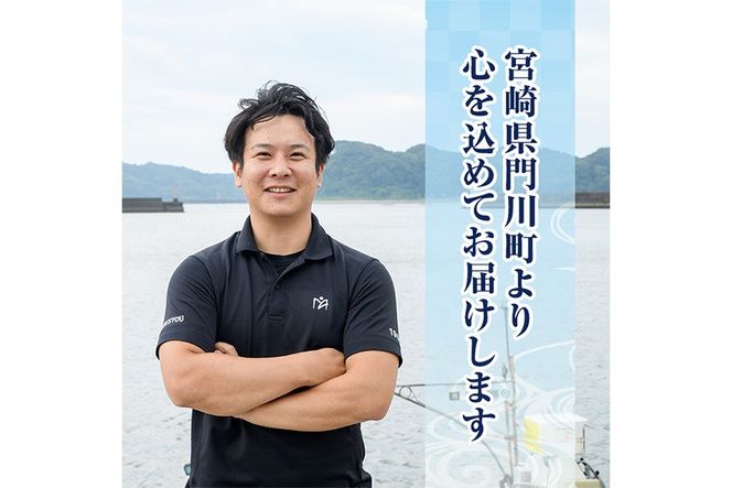 お刺身用 サーモン切り落とし (計1kg) 鮭 小分け 真空 パック 冷凍 刺身 シャケ サケ 魚 魚介 漬け丼 海鮮丼 【丸正水産】【AW-116】