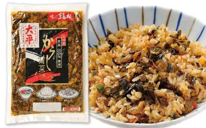 【長崎県産高菜100%使用】 高菜漬け 食べ比べ セット (からし高菜 450g ごはん高菜 500g) / 漬物 高菜 漬け物 ご飯のおとも 惣菜 / 南島原市 / 大平食品[SAK007]