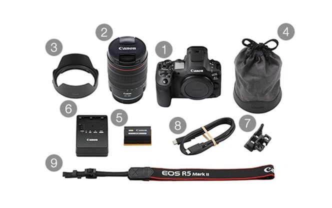 【Canon】 キヤノン ミラーレス カメラ EOS R5 MarkⅡ レンズキット キャノン 一眼 家電_0048C