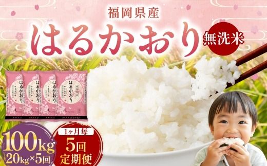 【 1ヶ月毎5回定期便 】 【 無洗米 】 はるかおり 20kg （ 5kg × 4袋 ） 計100kg お米 米 こめ コメ 白米 白飯 飯 ご飯 おにぎり 和食 国産 福岡県産 定期 定期配送