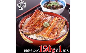 1165.【丑の日用】国産うなぎ蒲焼き大サイズ１本セット(A1165-1) 