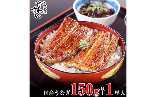 1165.【丑の日用】国産うなぎ蒲焼き大サイズ１本セット(A1165-1) 