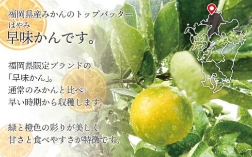 福岡県ブランド みかん 「早味かん」 3kg 【2026年9月下旬～10月下旬発送予定】 蜜柑 ミカン 柑橘 果物 フルーツ 九州 福岡県 香春町 冷蔵