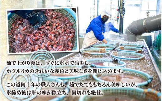 【先行予約】ほたるいか ボイル＆刺身セット【27年3月中旬以降順次発送】カネツル砂子商店【冷蔵 ホタルイカ 旬 朝どれ おつまみ 期間限定 海鮮 ボイル 刺身 ほたるいか 蛍烏賊 ボイルほたるいか 富山県 富山 富山県産 魚介類 いか イカ 】