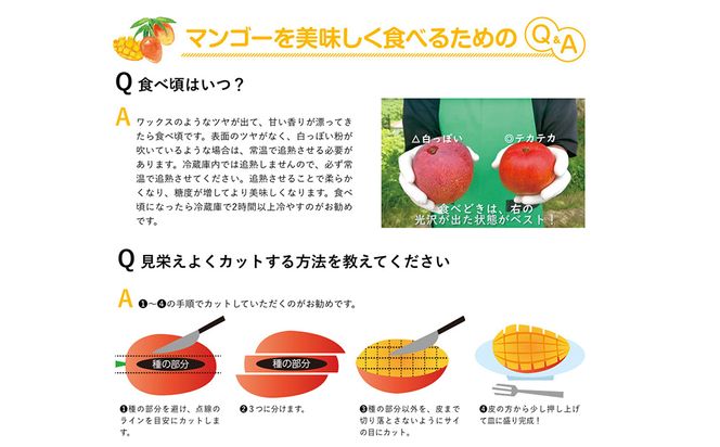 訳ありマンゴー１kg【熱帯資源植物研究所】