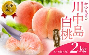 【予約受付】桃の王様【予約受付】こだわり農家厳選 川中島白桃 和歌山産の桃 大玉特秀品 2kg（6個~8個） / 桃 もも 川中島 白桃 フルーツ 果物 くだもの ※2027年7月末頃～8月末頃に順次発送予定（お届け日指定不可） ※離島への配送不可 【kgr501-kawa-2】