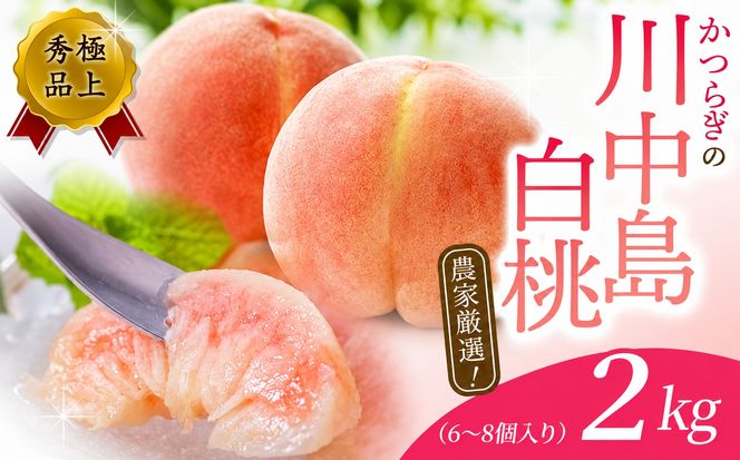 【予約受付】桃の王様【予約受付】こだわり農家厳選 川中島白桃 和歌山産の桃 大玉特秀品 2kg（6個~8個） / 桃 もも 川中島 白桃 フルーツ 果物 くだもの ※2027年7月末頃～8月末頃に順次発送予定（お届け日指定不可） ※離島への配送不可 【kgr501-kawa-2】