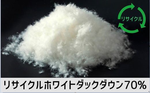 【16.5-1】ザ・羽毛布団 リサイクルダウン ロイヤルグリーン クイーン 210×210cm リサイクルホワイトダックダウン70％ 羽毛 掛け布団 立体キルト　251-000376-20