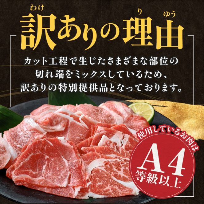 【訳あり】A4等級以上 宮崎牛切り落とし 500g×2P 計1kg（内閣総理大臣賞 A4 A5 宮崎牛 牛肉 黒毛和牛 赤身 切り落とし 小間切れ 宮崎県）