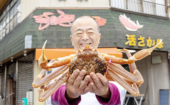 セコガニ コッペがに 子持ち 特大サイズ 3杯セット 冷蔵 蟹 カニ かに 松葉蟹 松葉ガニ ズワイガニ ボイル myz05