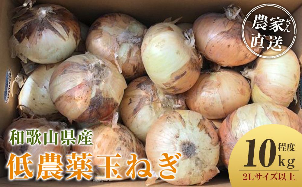 [2026年発送分・先行予約]農家さん直送 低農薬玉ねぎ 2Lサイズ以上 10kg程度[4月中旬〜7月中旬頃発送予定][KF15] 303446_BE90020