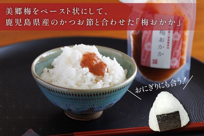 南高梅 梅おかか 200g×2袋 [春夏秋冬いっつもや 宮崎県 美郷町 31ab0137] ねり梅 和え物 簡単調理 便利 あっさり さっぱり 国産 セット 詰め合わせ 宮崎県産 常温 送料無料 贈答品 父の日 母の日 プレゼント ギフト 調味料 料理 調理 おかず 薬味 そうめん 素麺 フライ 揚げ 炒め 煮込み 普段使い 便利