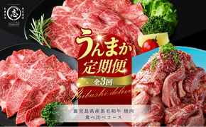 【定期便全3回】鹿児島県産黒毛和牛 焼肉 食べ比べコース！志布志うんまか定期便 t0070-010