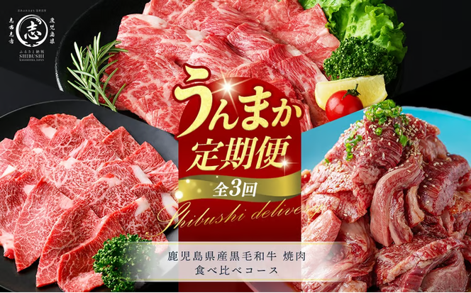 【定期便全3回】鹿児島県産黒毛和牛 焼肉 食べ比べコース！志布志うんまか定期便 t0070-010