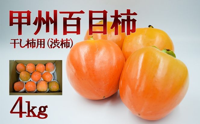 yRxm쒬zyRYzbBSڊ`i`pa`jS @` a` R bB Sڊ` R ܂Ȃ xm쒬