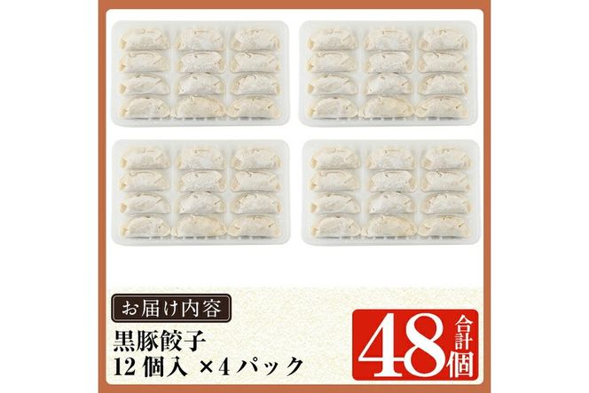 ＜容量・定期便が選べる＞鹿児島黒豚「短鼻豚」無添加餃子セット(48個・96個・3回定期便)【鹿児島ますや】姶良市 ギョーザ 餃子 無添加 惣菜 おかず おつまみ 冷凍 黒豚 国産野菜 ぎょうざ a441 a442 a880
