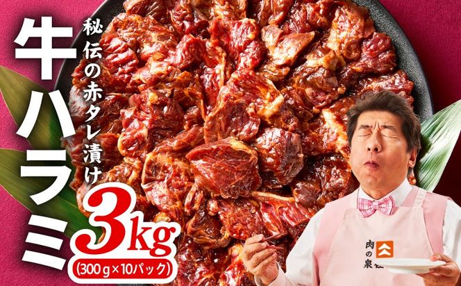 099H4053 【TVで紹介！】牛ハラミ肉 3kg（300g×10）秘伝の赤タレ漬け 訳あり サイズ不揃い