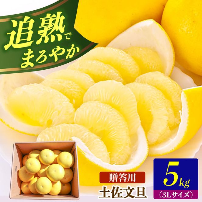 【先行予約】土佐文旦の創始 宮地文旦園の土佐文旦 贈答用3L 大玉 約5キロ 7～9個入り 5kg〈2027年3月上旬～4月下旬〉 ぶんたん ブンタン フルーツ 柑橘 みかん 果物 くだもの 柑橘類 デザート プレゼント ギフト 高知県 土佐市【宮地文旦園】[BQBP003]