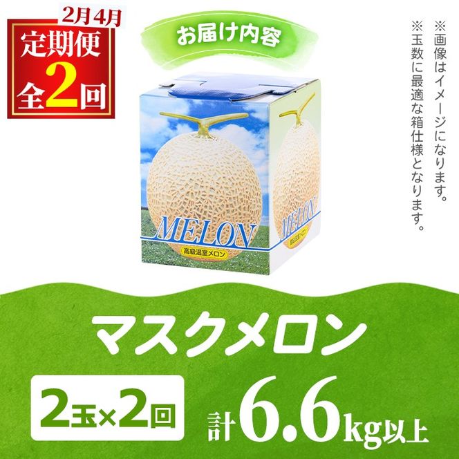 【0472212b】＜定期便・全2回(2月・4月)＞まるまる育ったマスクメロン(2玉×2回・計6.6kg以上) マスクメロン フルーツ 果物 果実 6キロ 数量限定 期間限定【まる美園芸組合】
