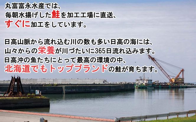 北海道産 網元特製 塩いくら 鮭卵 200g