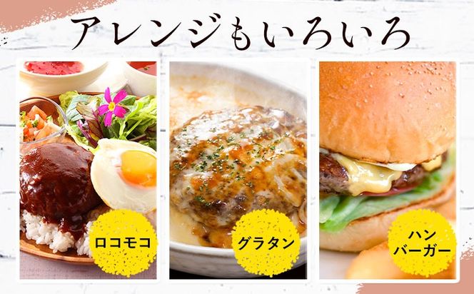 ハンバーグ 鉄板焼き 肉肉ハンバーグ 選べるソース デミグラスソース ジャポネソース 食べ比べ 20個 《1月出荷予定》熊本県 国産 牛肉 豚肉 鶏肉 ハンバーグ 専門店監修 小分け デミ ジャポネ 肉---oz_fhr_ac1_r7_10000_20i_n---