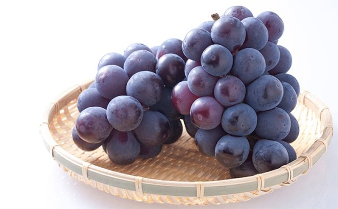 フルーツ 定期便 【2026年 先行予約】 晴れの国 旬の 果物 3回お届け便 岡山 白桃 2kg(5玉～7玉) ニュー ピオーネ 4房2kg以上  シャインマスカット 4房(2.4kg以上) 岡山県産 国産 セット ギフト