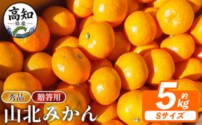 山北みかん 【贈答用】山北みかんSサイズ限定 5.0kg sq-0006