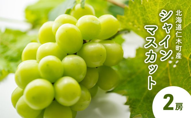 [先行受付] 北海道 仁木町産 シャインマスカット 2房 ぶどう マスカット 果物 くだもの フルーツ 季節のフルーツ [鶴田農園]
