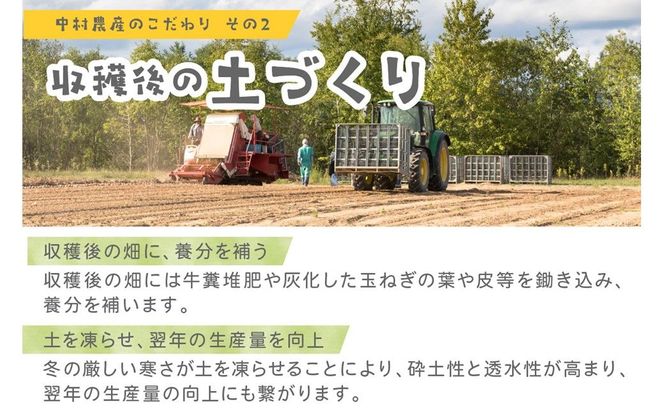 【予約：2026年10月から順次発送】北海道北見産 玉ねぎ 15kg ( 野菜 たまねぎ タマネギ 玉葱 玉ねぎ 甘い Lサイズ 15キロ 玉ねぎ生産量日本一 )【002-0010-2026】