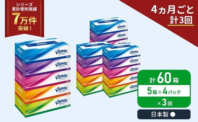 定期便 ティッシュ クリネックス 5箱入 × 4パック 《 4ヶ月ごと計  3回》 ティッシュ セット