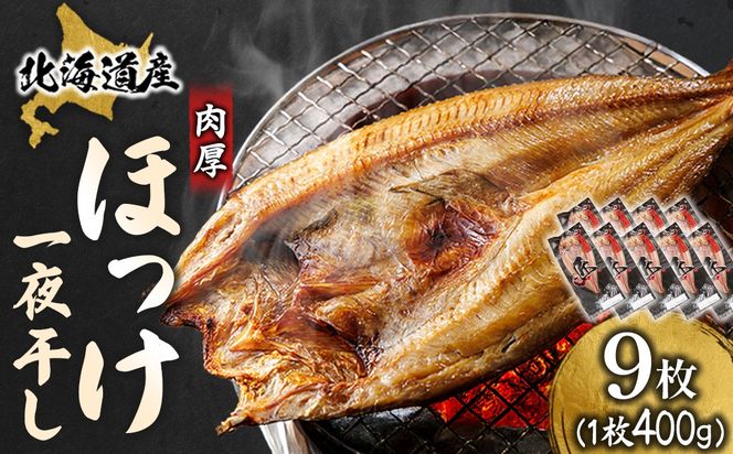 北海道産 ほっけ一夜干し（400～449g）×9枚 ｜ 釧路町の匠が贈る 北の至宝 ホッケ 干物 焼魚 焼き魚 白身魚 セット ひもの 魚干物 一人暮らし セット おかず 冷凍 スピード発送 すぐ届く 魚介類 海鮮 絶品 人気 ヒロセ すぐ発送 40000円 北海道 釧路町 釧路超 特産品
