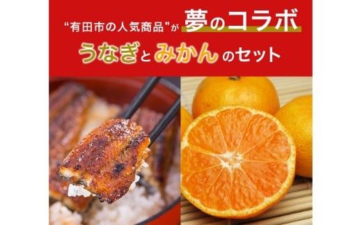 【コラボ】国産うなぎ蒲焼き大サイズ２本セット(うなぎの肝吸い2食付き)＆有田みかん「未来への虹」（5kg）(A1125-1)