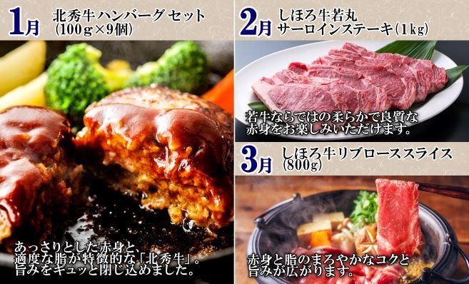 ■定期便■ 北海道 牛肉づくし 定期便 全11回 牛肉 サーロイン ステーキ リブロース 切り落とし ローストビーフ 肉 牛 赤身肉 国産牛 肉 ビーフ 牛肉 冷凍 お惣菜 焼肉 頒布会 送料無料 十勝 士幌町【X36】