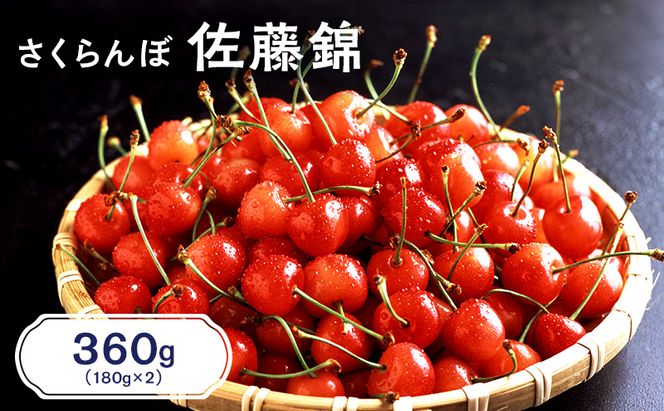 先行受付 北海道 仁木町産 さくらんぼ 佐藤錦 360g（180g×2パック）  サクランボ チェリー フルーツ 果物 果物類  仁木町 仁木 [JA新おたる]