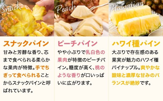 【2026年4月下旬から順次発送】石垣島産パイナップル 2～6個 約3kg【ふるさと納税 パイナップル 産地直送 フルーツ 果物 沖縄県石垣市 石垣 沖縄 石垣市 石垣島】 KP-14