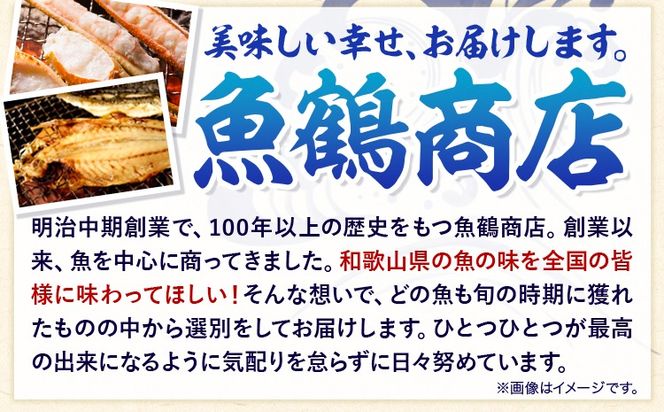那智勝浦直送 天然まぐろたたき ( ネギトロ風 ) 500g 株式会社魚鶴商店《30日以内に出荷予定(土日祝除く)》和歌山県 日高川町 まぐろ 魚 マグロ たたき ねぎとろ 海鮮 鮪 魚介 さかな---wshg_fuot69_30d_24_11000_500g---