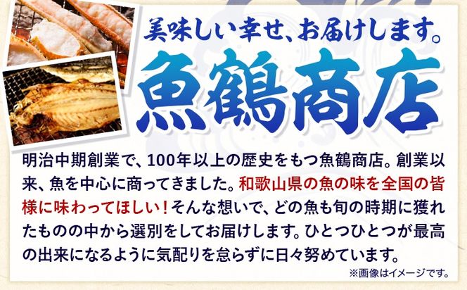 那智勝浦直送 天然もちもち生ビン長まぐろとまぐろたたきセット 2人前 株式会社魚鶴商店《30日以内に出荷予定(土日祝除く)》和歌山県 日高川町 まぐろ 魚 マグロ たたき ねぎとろ 海鮮 鮪 魚介 さかな ビン長 ビン長まぐろ---wshg_cuot70_30d_24_13000_2set---