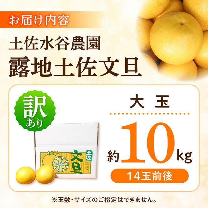 【先行予約】文旦 家庭用大玉 10キロ 10kg（3Lサイズ以上～：14玉前後）〈2027年1月20日～発送〉皮むき器付き 訳あり 文旦 ぶんたん ブンタン 柑橘 フルーツ 大玉【土佐水谷農園】 [BQBD009]