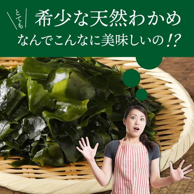 便利で嬉しい！国東カットわかめをおためし20パック_0005N-3