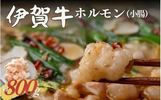 伊賀牛 ホルモン(小腸)約800g[cook0042]
