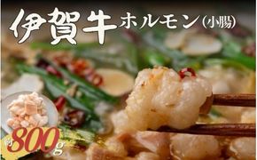 伊賀牛 ホルモン（小腸）約800g【cook0042】