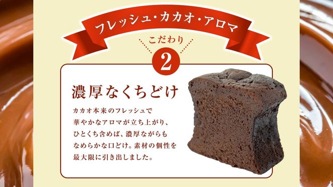 ガトーショコラ フレッシュ・カカオ・アロマ チョコレート チョコ ガトーショコラ テリーヌショコラ スイーツ デザート 高級 ギフト 贈り物 お礼 プレゼント 手土産 お菓子 [DJ64-NT]