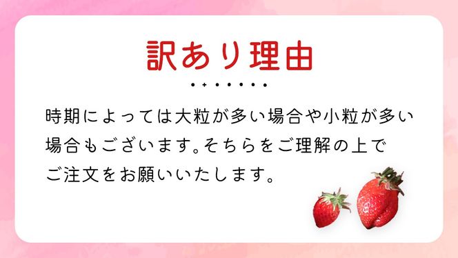 【 先行予約 】《 いばらキッス 》ちょっと訳あり イチゴ たっぷり800g バラ詰め 《 2025年2月以降発送 》（茨城県共通返礼品／常陸太田市） 訳あり いちご 苺 高糖度 甘い 加工用 生食用 ジャム 製菓用 朝採れ 新鮮 数量限定 期間限定 [ES015us]