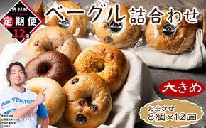 【定期便】全12回 毎月お届け 北海道産 ベーグル 8個 詰め合わせ おまかせ セット 個包装 小分け パン