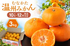 むなかた温州みかん 3kg 【2026年10月下旬～12月発送】【JAほたるの里】_HA1346