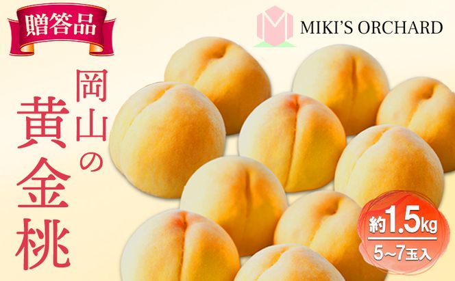 桃 【 贈答品 】 2026年 先行予約 黄金桃 約1.5kg(5～7玉入り) MIKI’S ORCHARD もも モモ 果物 フルーツ 岡山 赤磐市