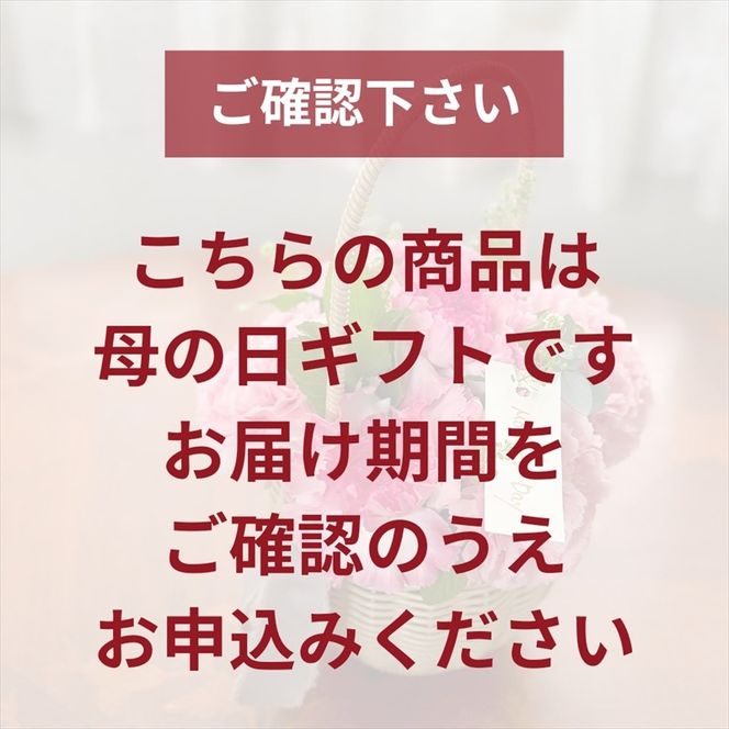 41-2917　《母の日限定》カーネーションのバスケットアレンジメント(Mサイズ)ピンク系＜出荷時期：2025年4月～5月中＞【 花 お花 神奈川県 小田原市 】