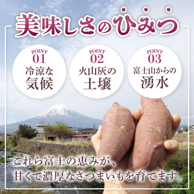 サツマイモ（シルクスイート）2kg　さつまいも 富士シルク 野菜 根菜 焼き芋 ふかし芋 国産 富士吉田市産 山梨 富士吉田