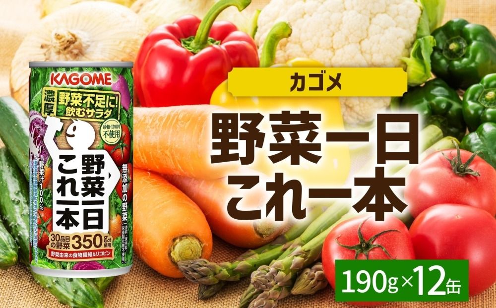 ns038-044 野菜一日これ一本190g×12